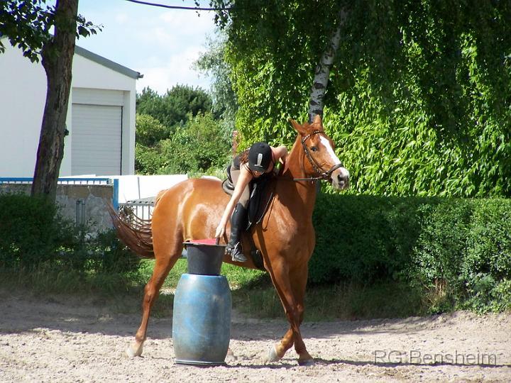 Reiterspiele08_021.jpg