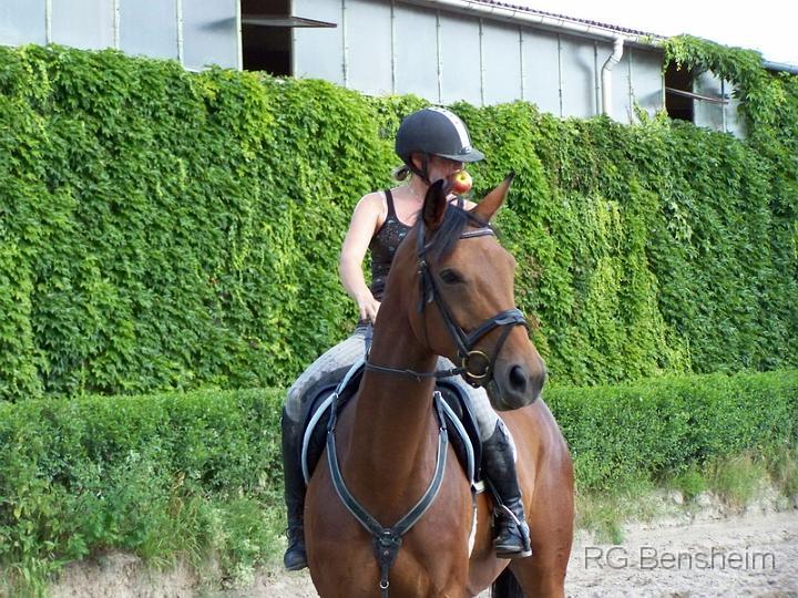 Reiterspiele08_077.jpg