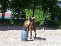 Reiterspiele08_013