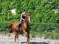 Reiterspiele08_022