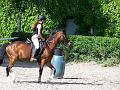 Reiterspiele08_025