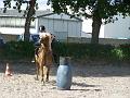 Reiterspiele08_048