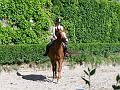 Reiterspiele08_062