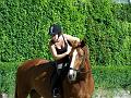 Reiterspiele08_065