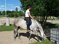 Reiterspiele08_098